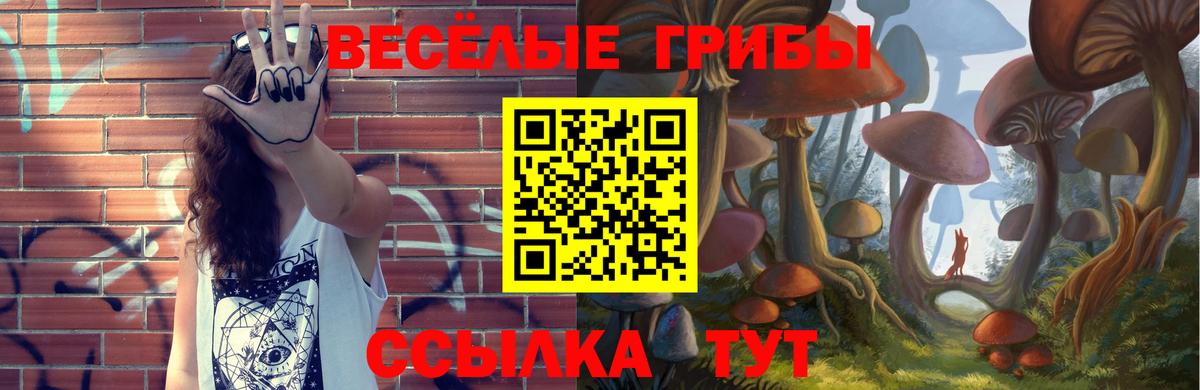 Псилоцибиновые грибы мухоморы  Вход с VPN  Псилоцибиновые грибы Cubensis  Семёнов 